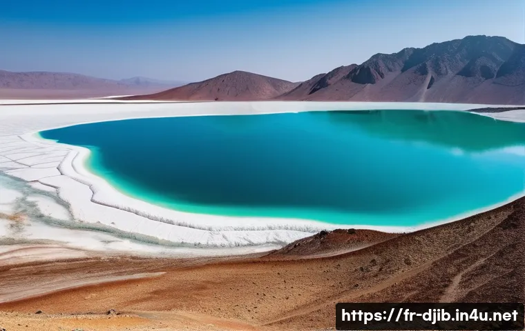 지부티의 독특한 지리적 특성 - **"Lac Assal's Surreal Salt Landscape"**
    A breathtaking, panoramic view of Lac Assal in Djibouti...