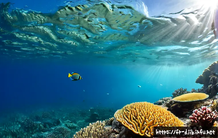 지부티와 홍해 지역의 해양 생태학 - Photorealistic underwater wide-angle scene in the Gulf of Tadjoura near Djibouti, a vibrant shallow ...